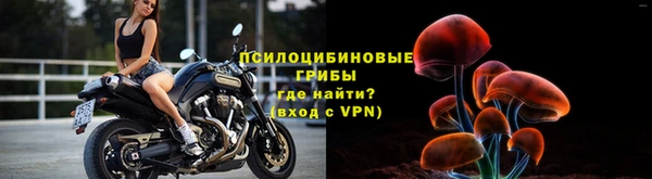 эйфоретик Арсеньев