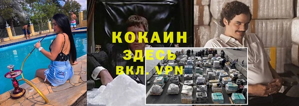 эйфоретик Арсеньев