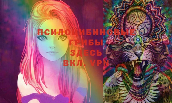 эйфоретик Арсеньев