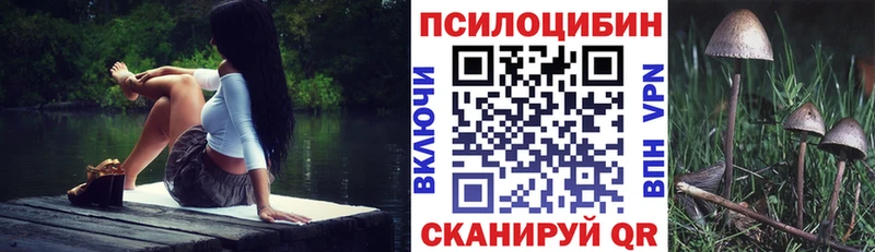 Галлюциногенные грибы GOLDEN TEACHER  Северобайкальск 